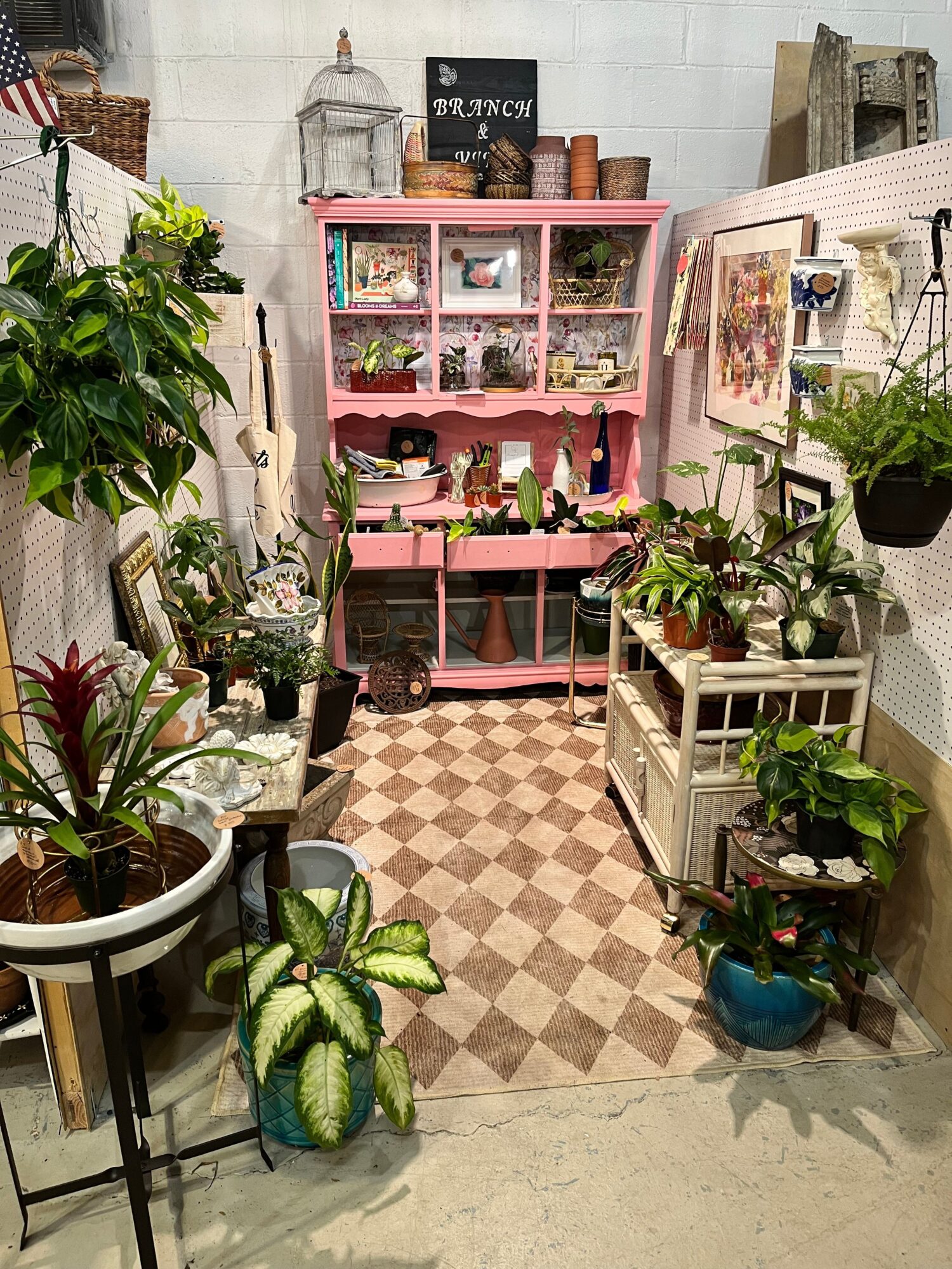 Indoor space with pink shelves, plants, and decorative items, arranged on a checkered floor with a patterned rug.
