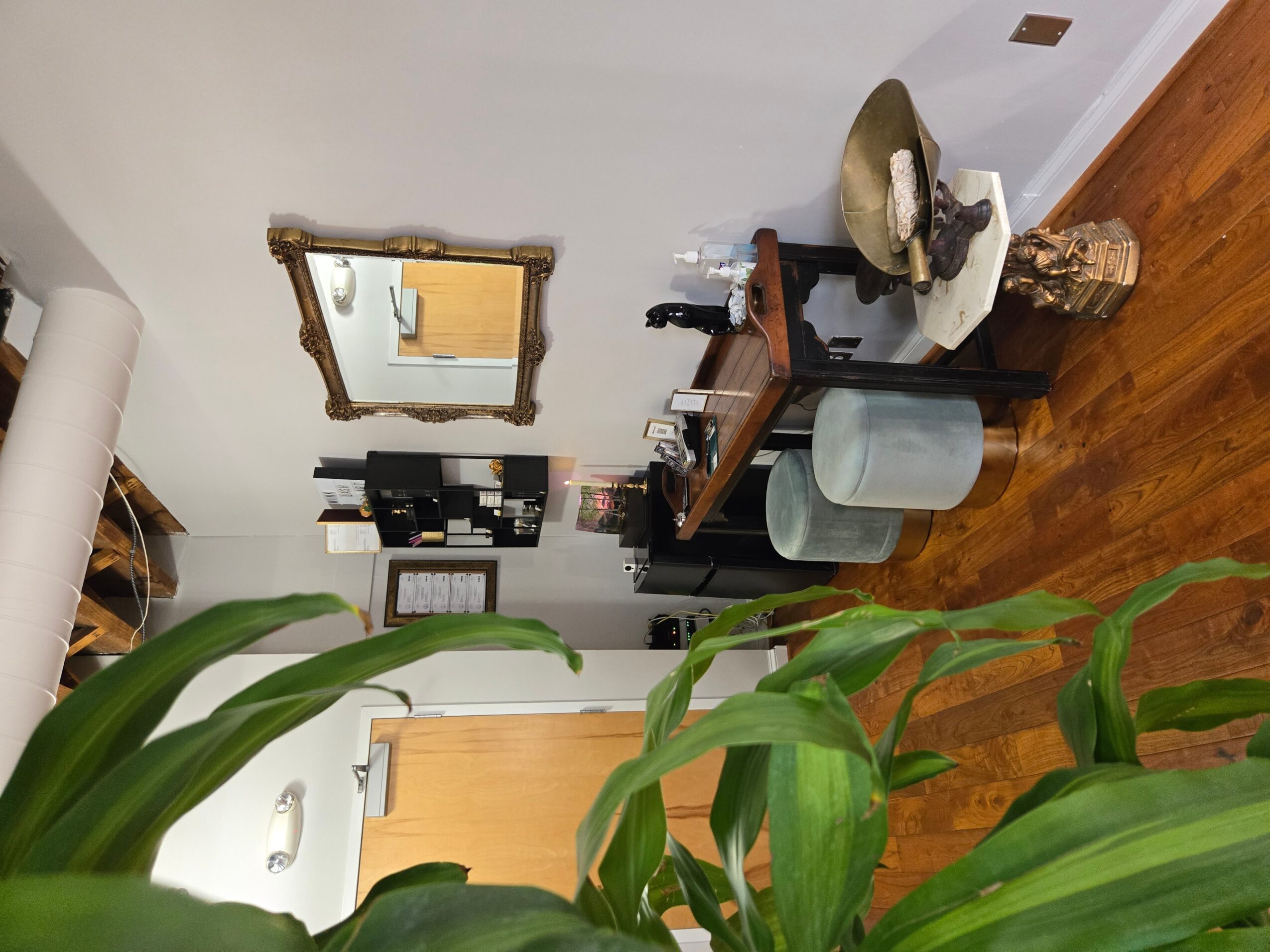 Room with a mirror, table, and various objects, including a plant in the foreground, wooden floor, and a door.