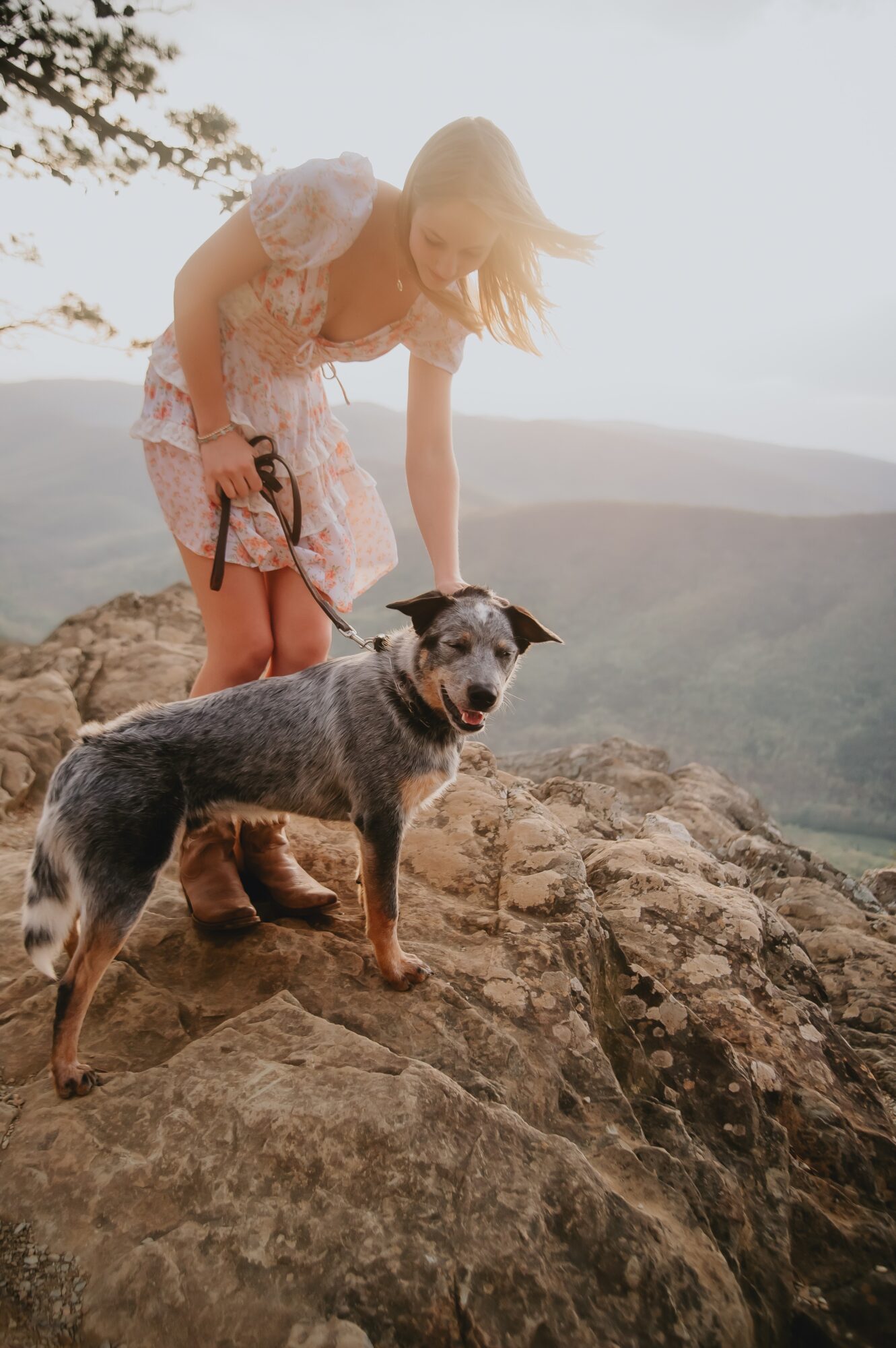 Woman bending over a dog on a rocky hilltop with mountains in the background, sunlight shining brightly.