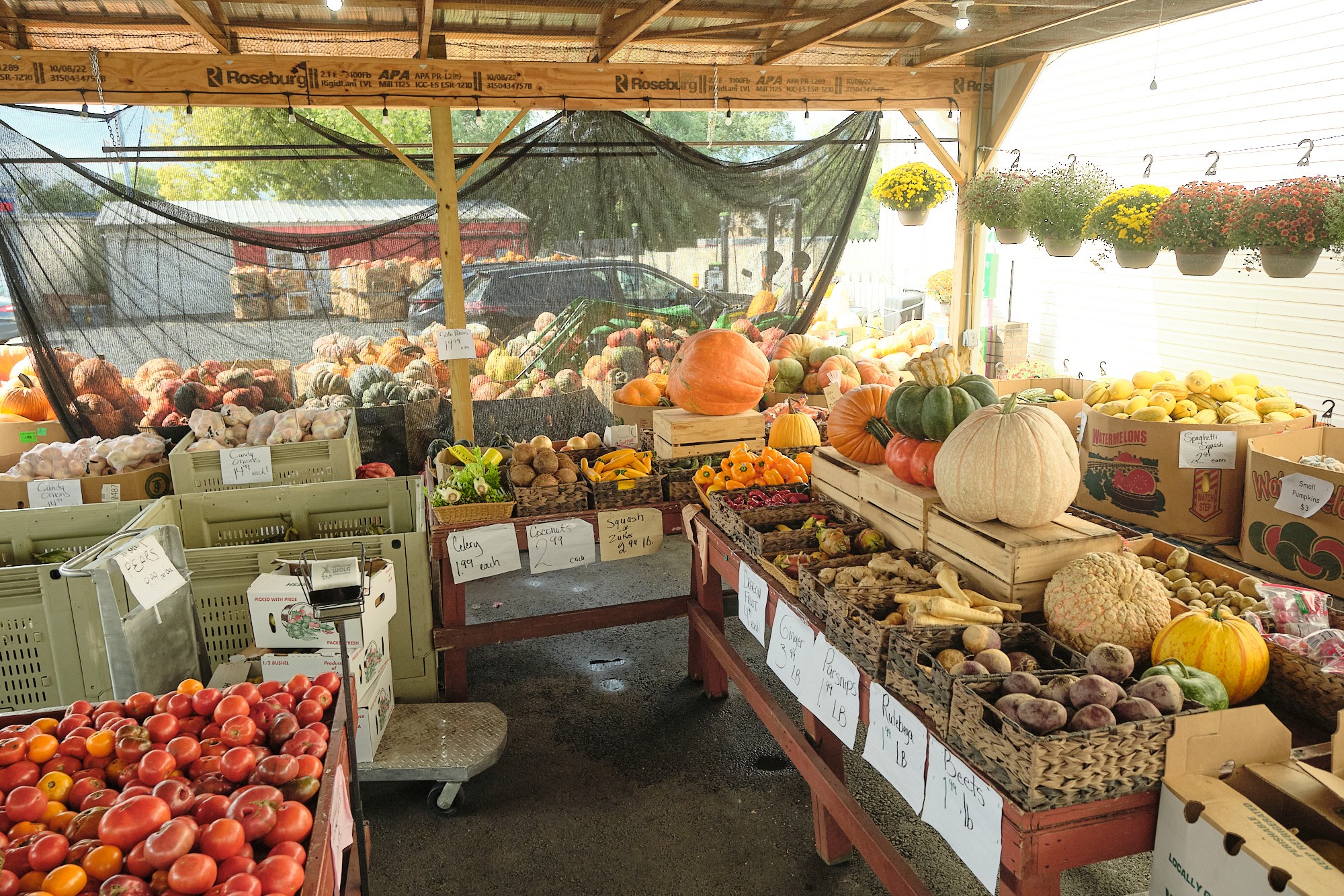 Market stall with pumpkins, gourds, and vegetables, under a canopy with hanging flower baskets, sunlight filtering through, and produce displayed on tables.