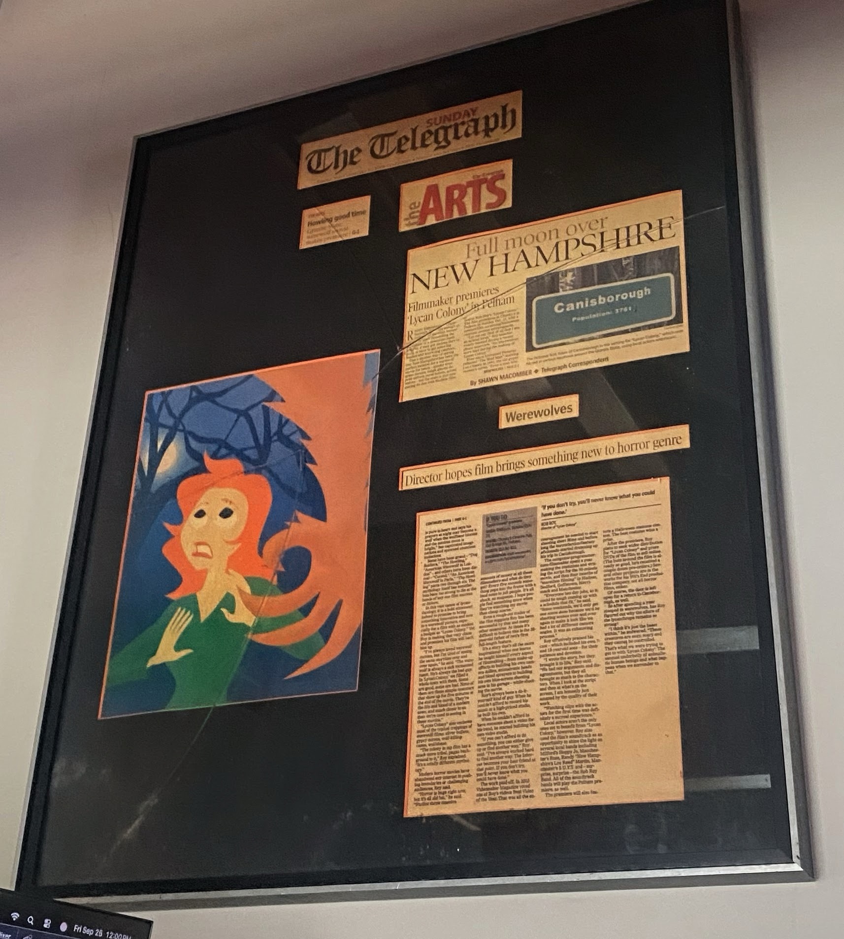 Display case with newspaper clippings and a colorful illustration of a mermaid with blue hair and orange tail.