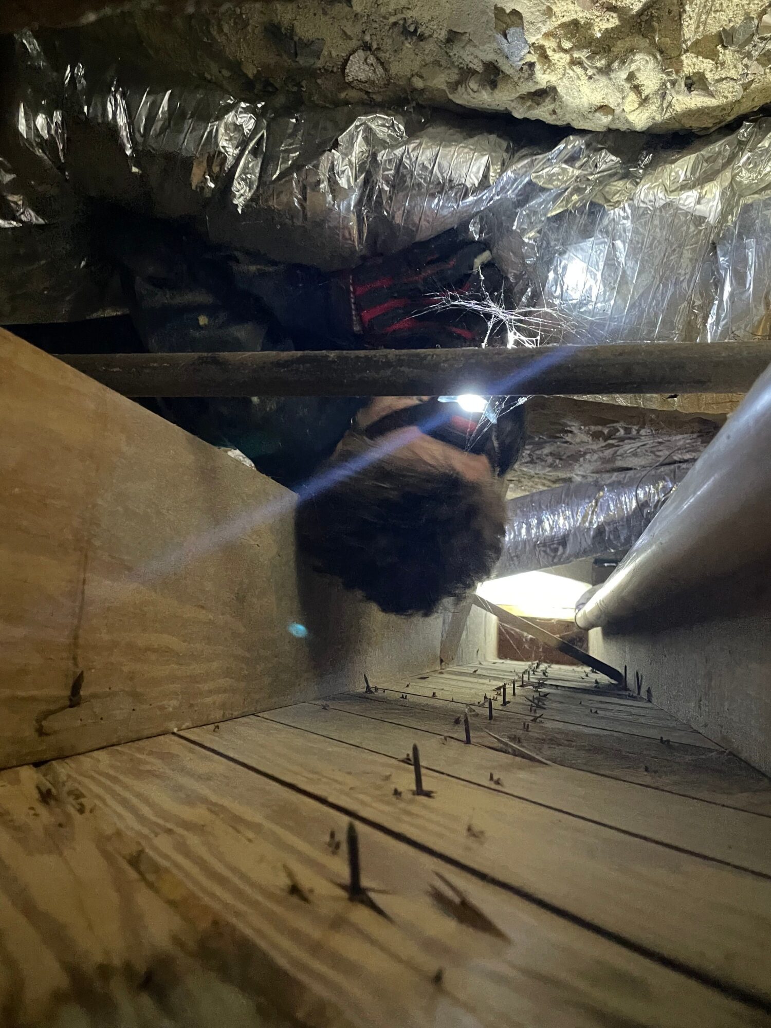 Person with head down, working in a narrow, dimly lit space with wooden and rocky surfaces, wearing a headlamp.