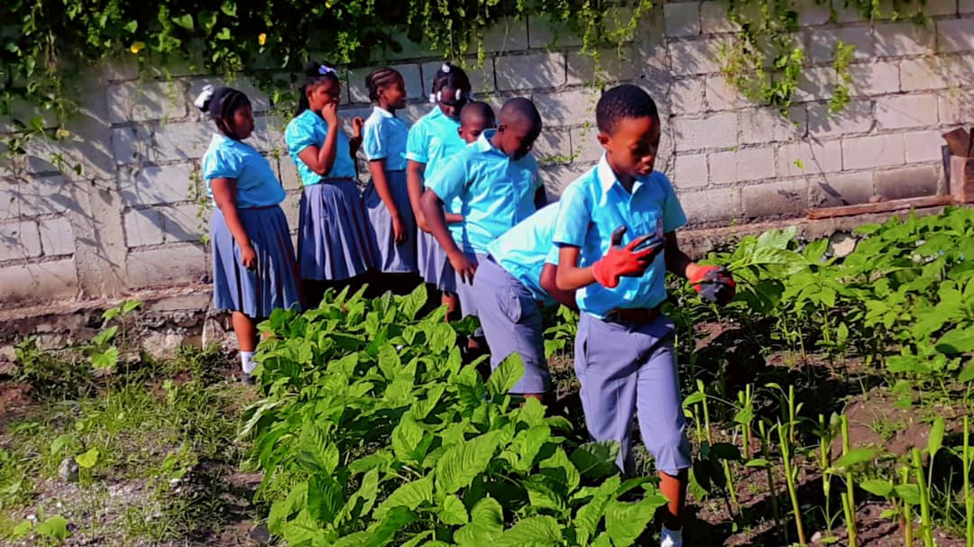Group of children in school uniforms working in a garden with green plants and a stone wall background.