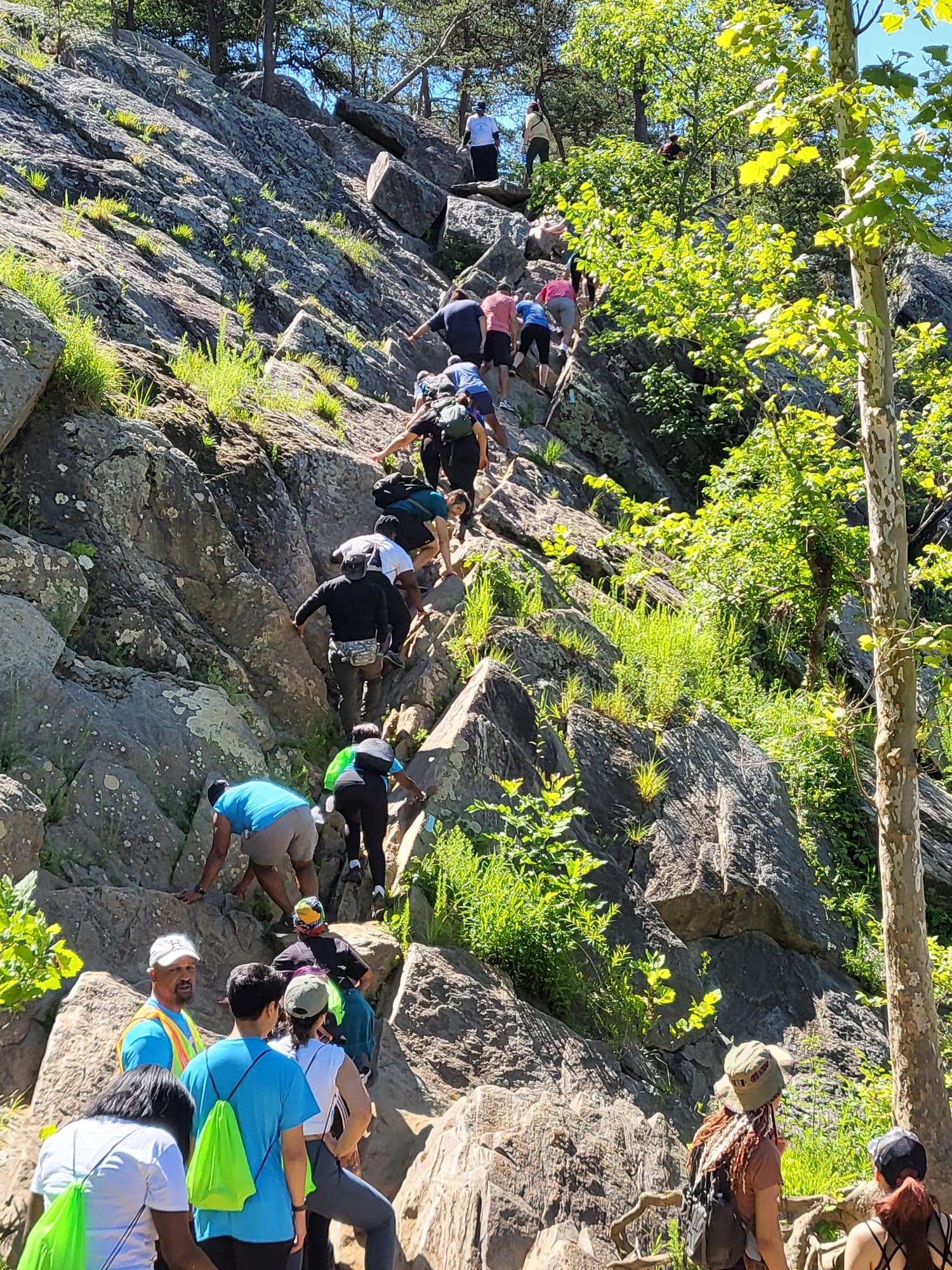 Group of people climbing a rocky outdoor trail surrounded by trees and greenery.