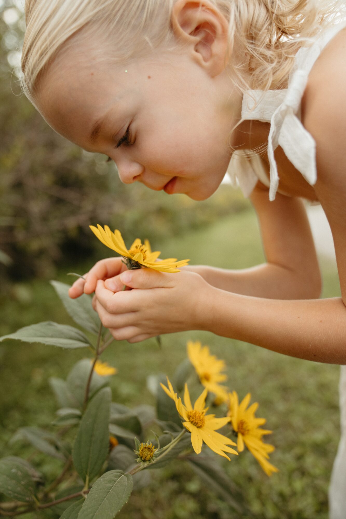 Young girl with blonde hair holding a yellow flower, looking at it closely outdoors.