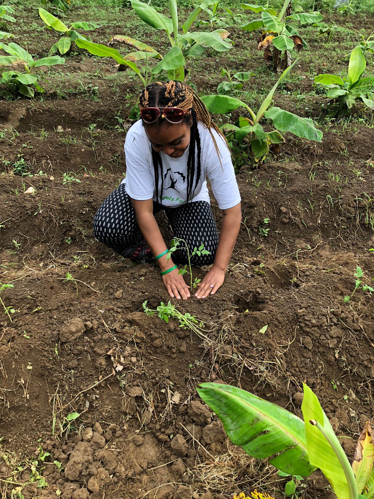 Person crouching in a garden planting a small seedling, surrounded by green plants and soil.