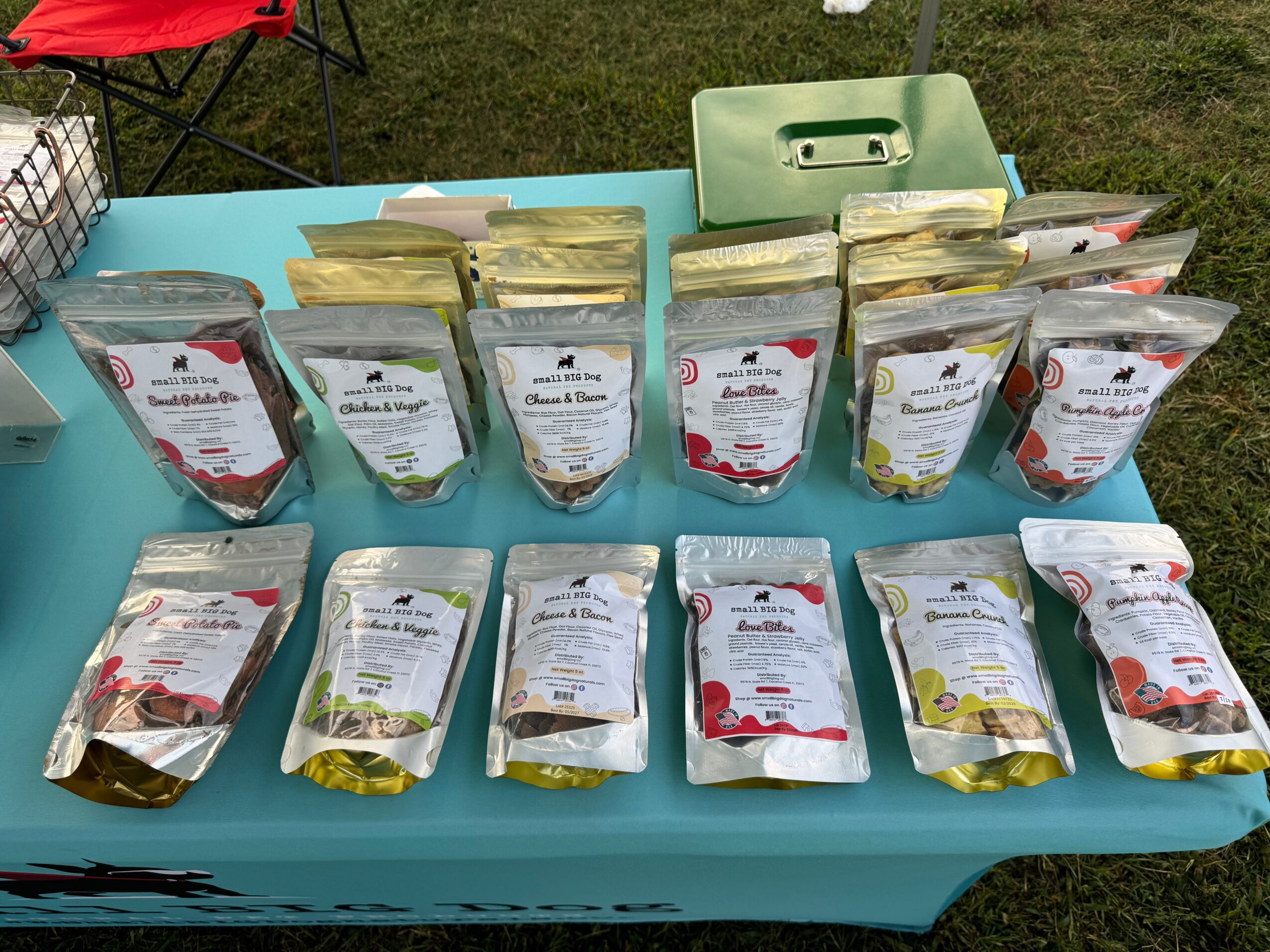Table with multiple packages of seeds arranged in two rows on a blue table outdoors, with grass and chairs visible.