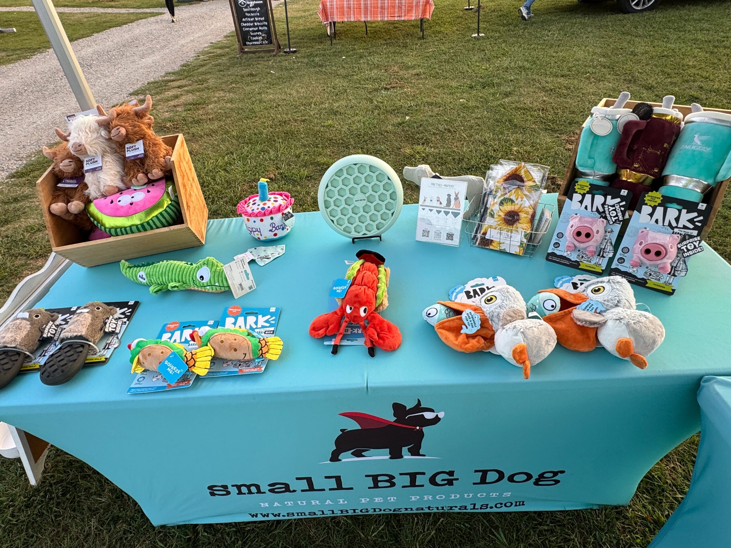 Table with toys, drinks, and a small plush dog at an outdoor event, grass and people in background.
