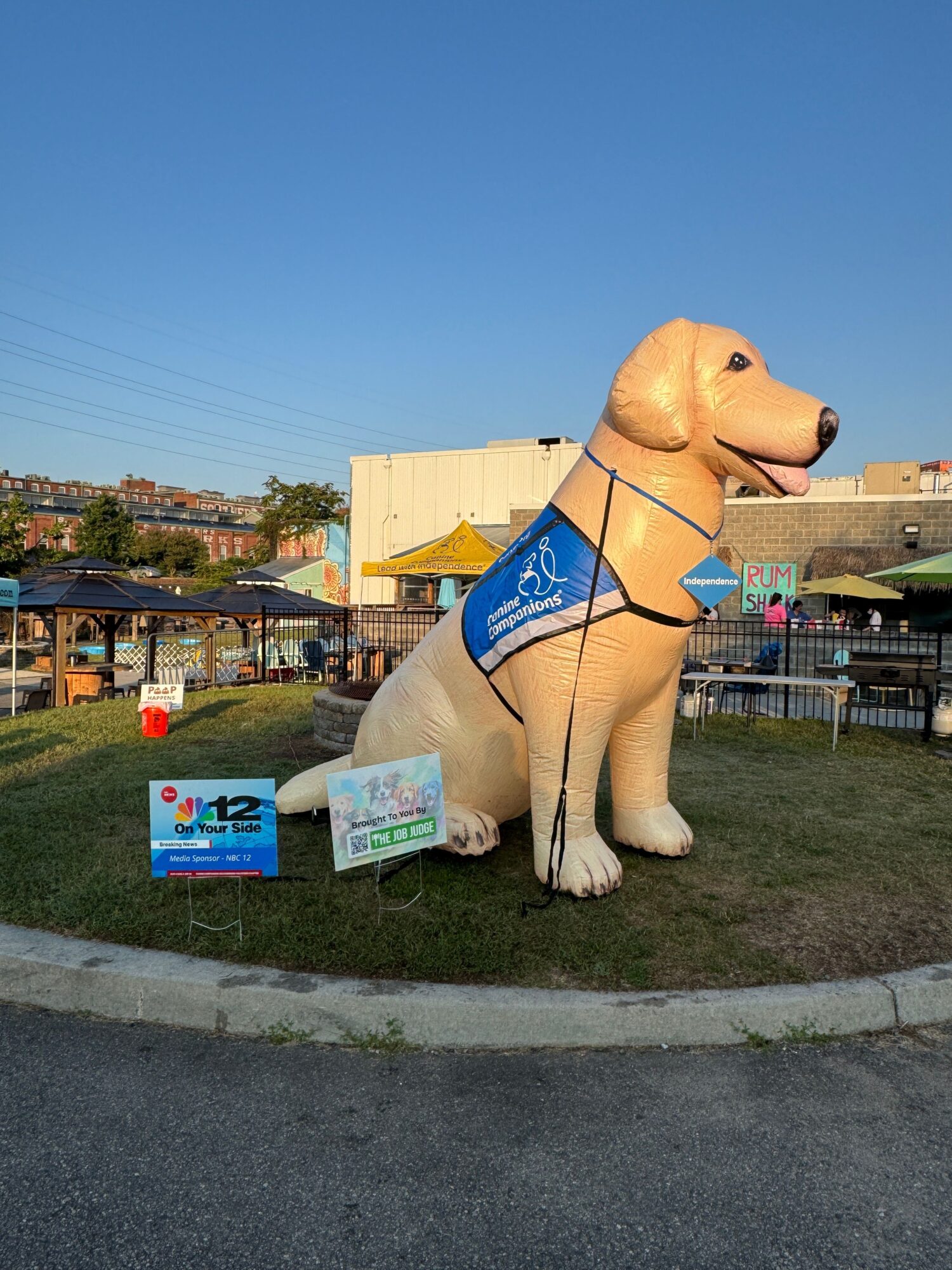 Large bear costume with blue shorts standing outdoors near signs and a grassy area.