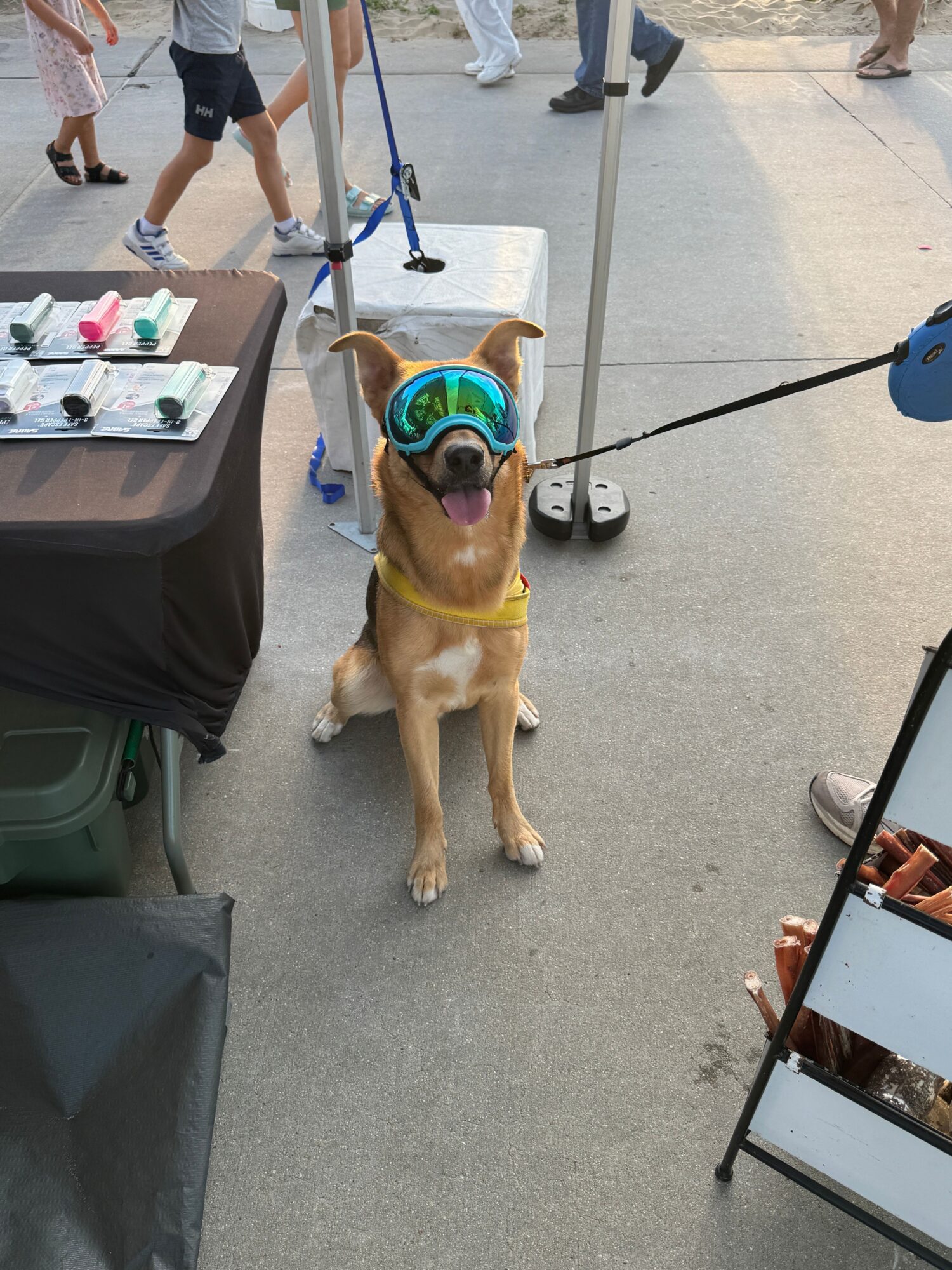Dog wearing goggles and a snorkel, sitting on a gray floor, with a mirror and a table nearby.