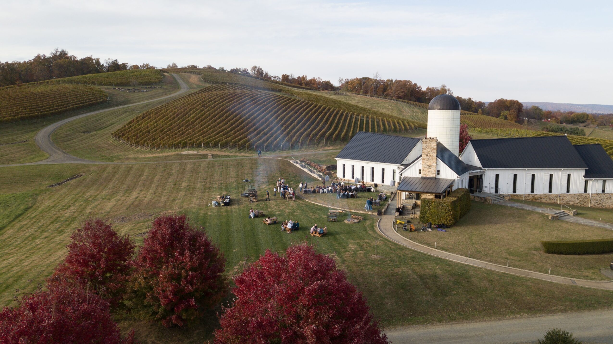 A white barn and silo beside rolling vineyard rows, with red-leaved trees in the foreground.
