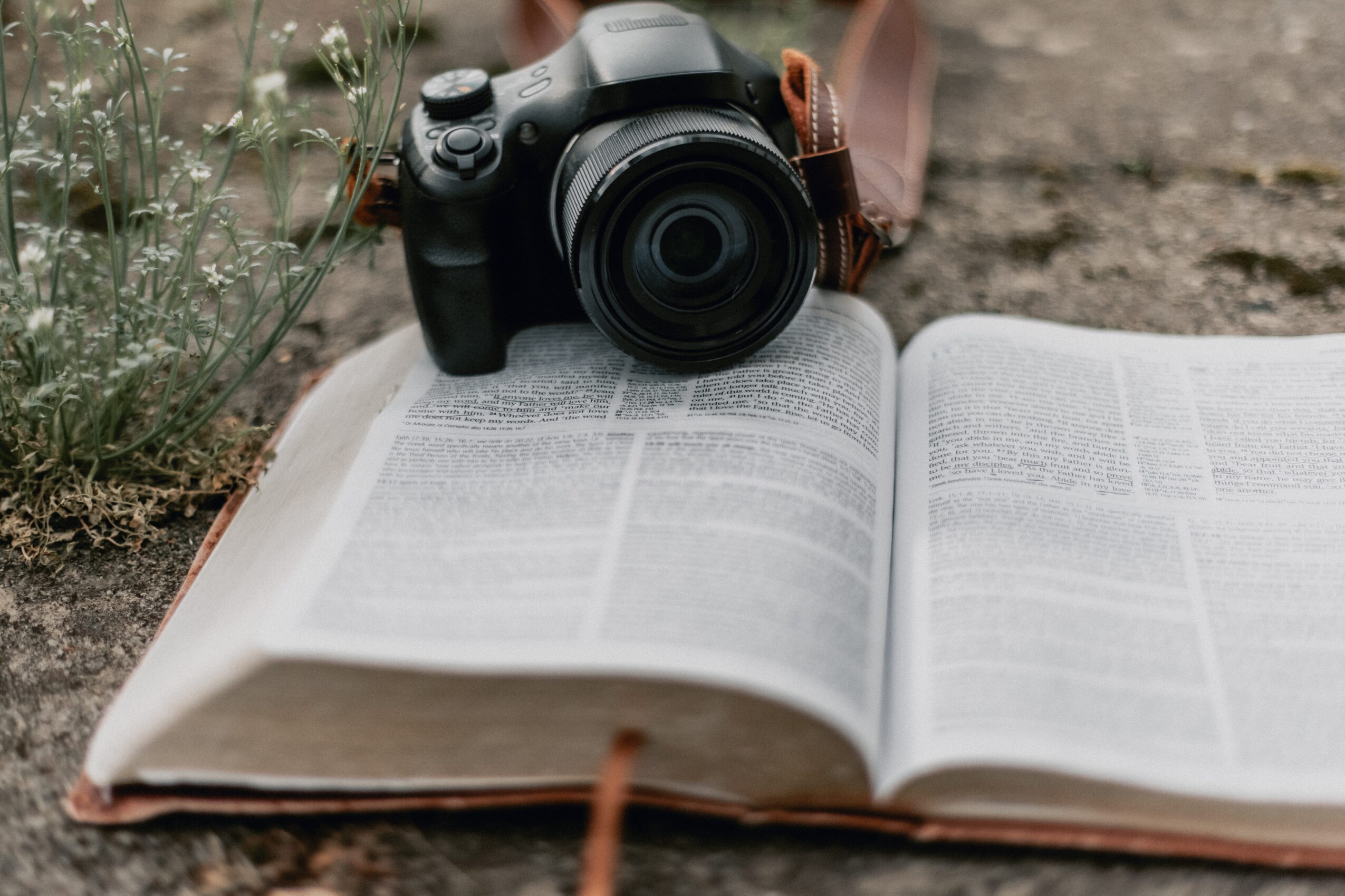Camera placed on an open book outdoors, with plants and ground visible in the background.