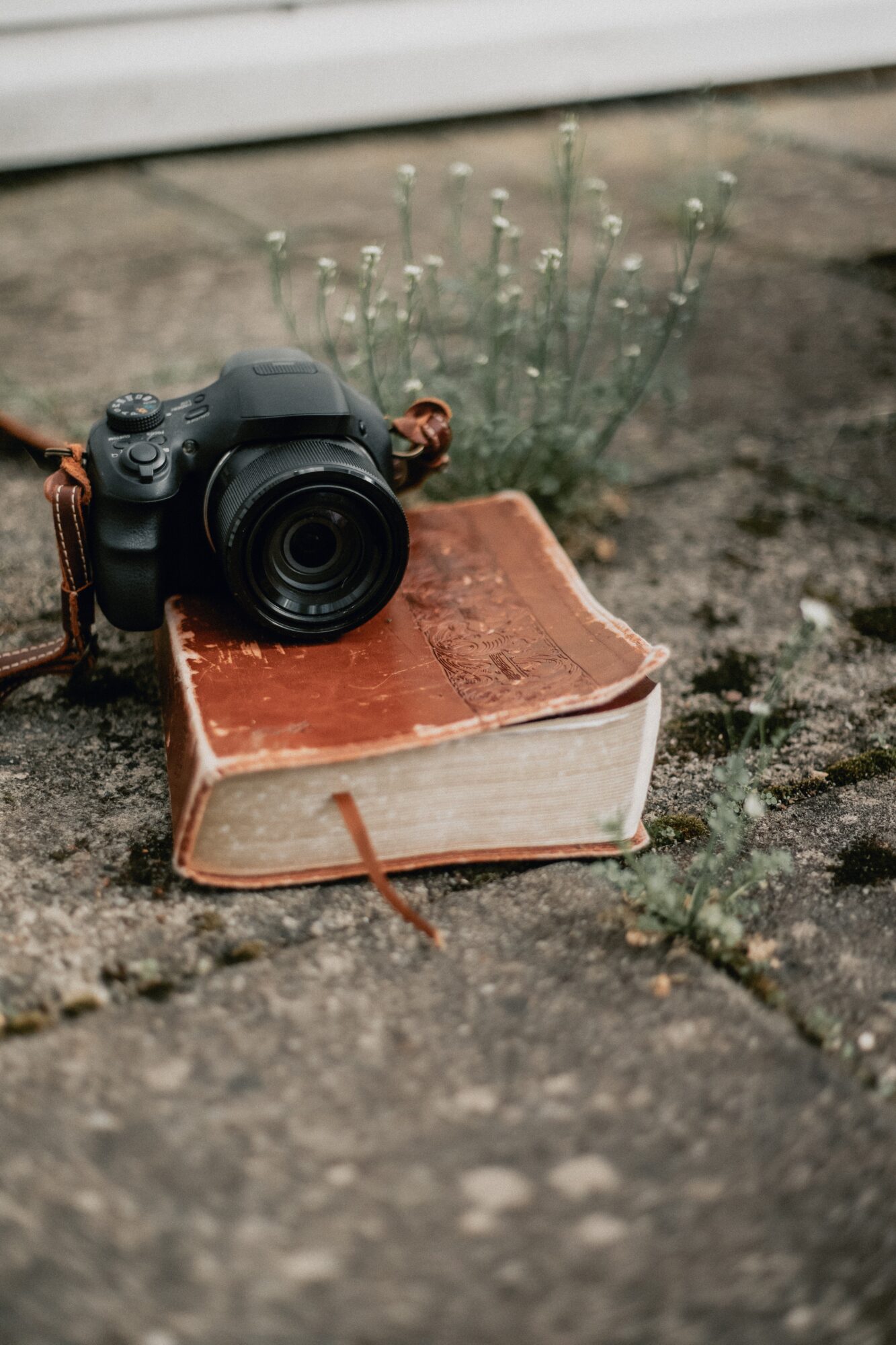Camera placed on a closed book outdoors with plants and soil in the background.