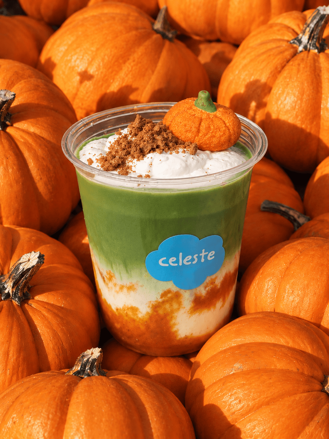 Layered pumpkin-themed drink with whipped cream, small pumpkin decoration, surrounded by pumpkins, with a blue label reading 'celeste'.
