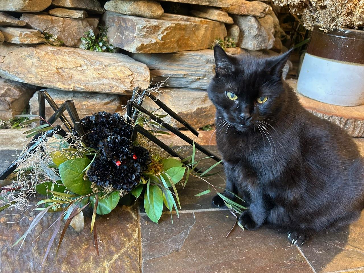 Black cat sitting next to a spider sculpture with green leaves, in front of a stone wall, outdoors.