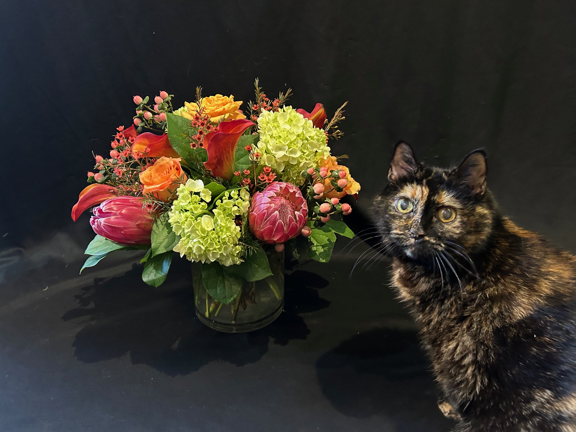 Colorful flower arrangement in a glass vase next to a tortoiseshell cat with green eyes, on a black background.