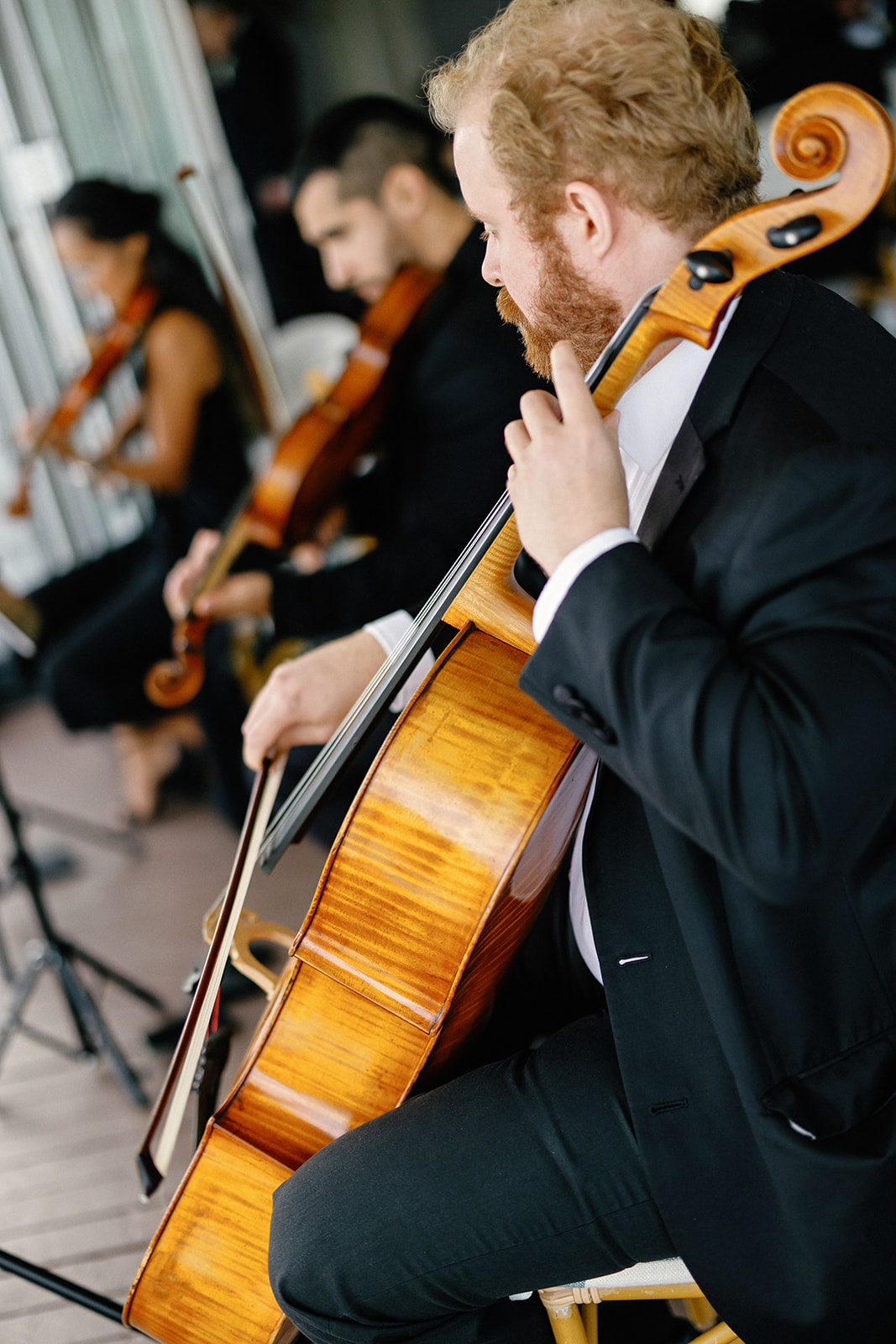 Group of musicians playing string instruments, focusing on a man with curly hair playing a cello, with others in the background.