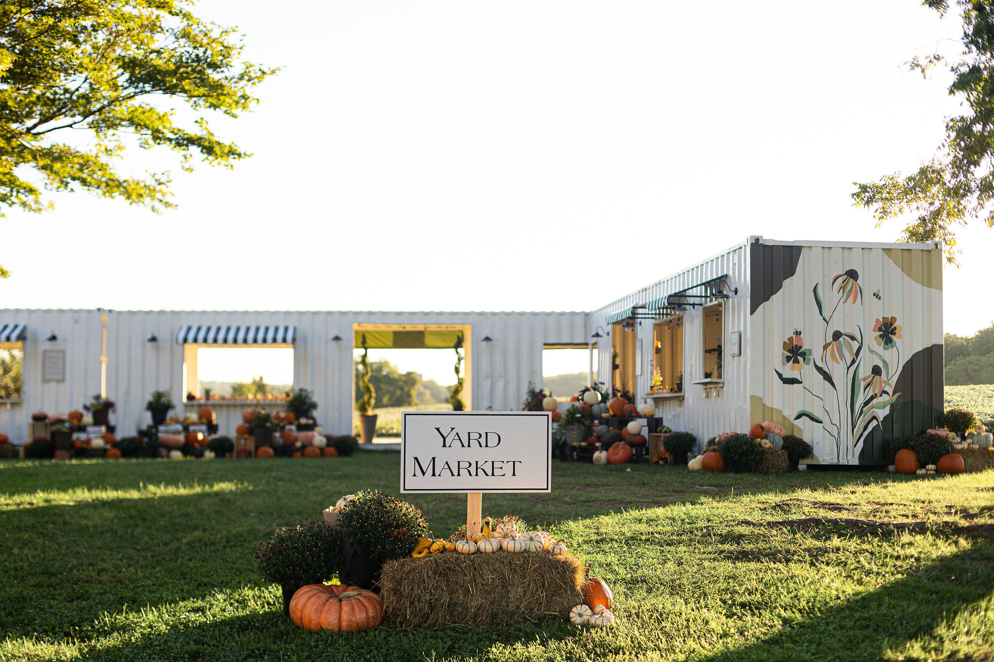 Long white building with open storefronts, flowers, and pumpkins in front, yard market sign, grassy area, trees, and clear sky.