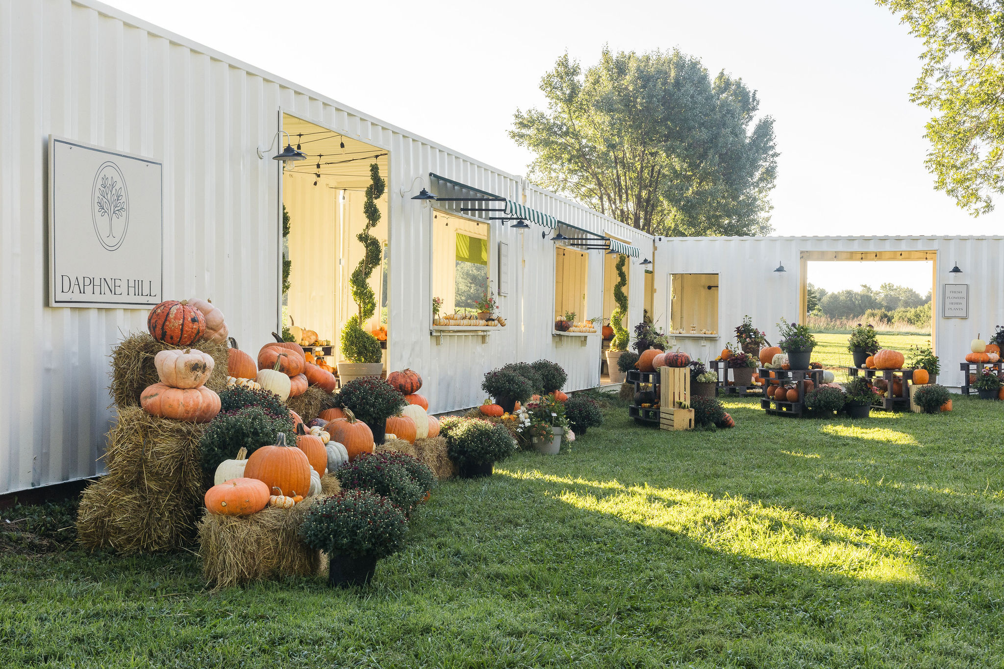 White building with pumpkins and hay bales outside, surrounded by green grass and trees, sunny day.
