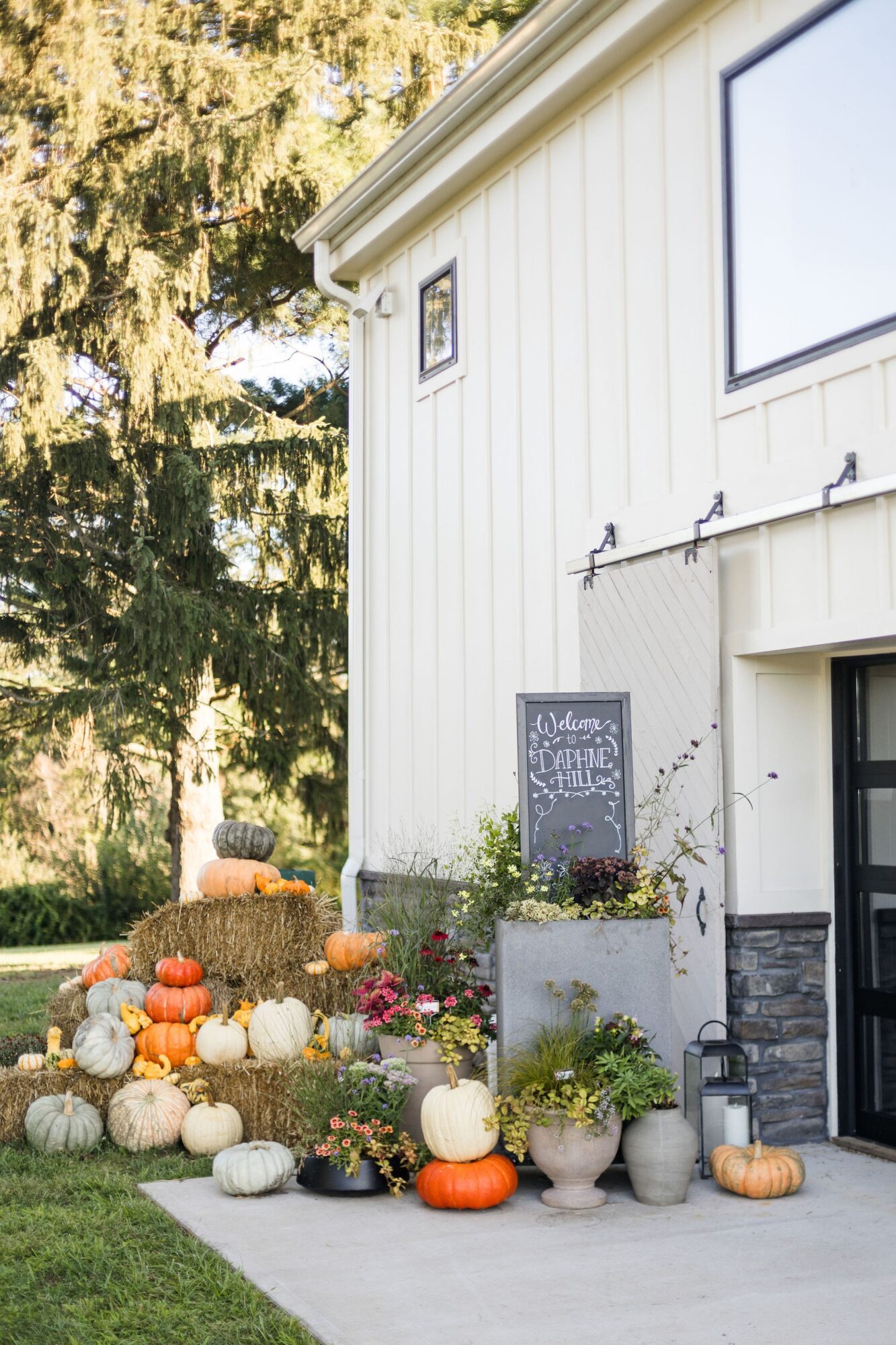 Decorative pumpkins and plants outside a white building with a chalkboard sign, on a concrete surface, with trees in background.