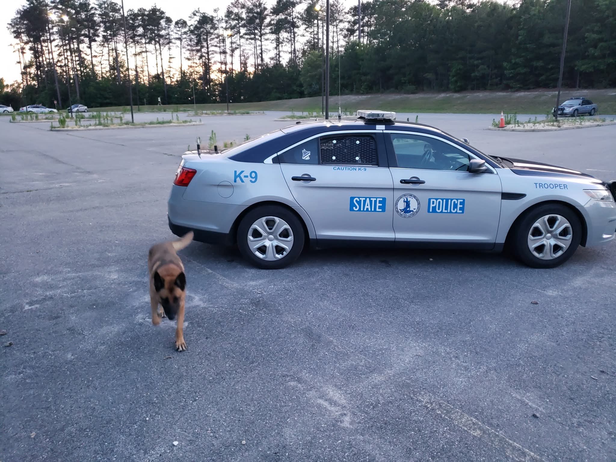 Police car parked on an empty lot with a dog walking nearby, trees in the background.