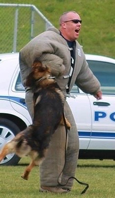 Man in sunglasses and a jacket interacts with a German Shepherd dog near a police car outdoors.