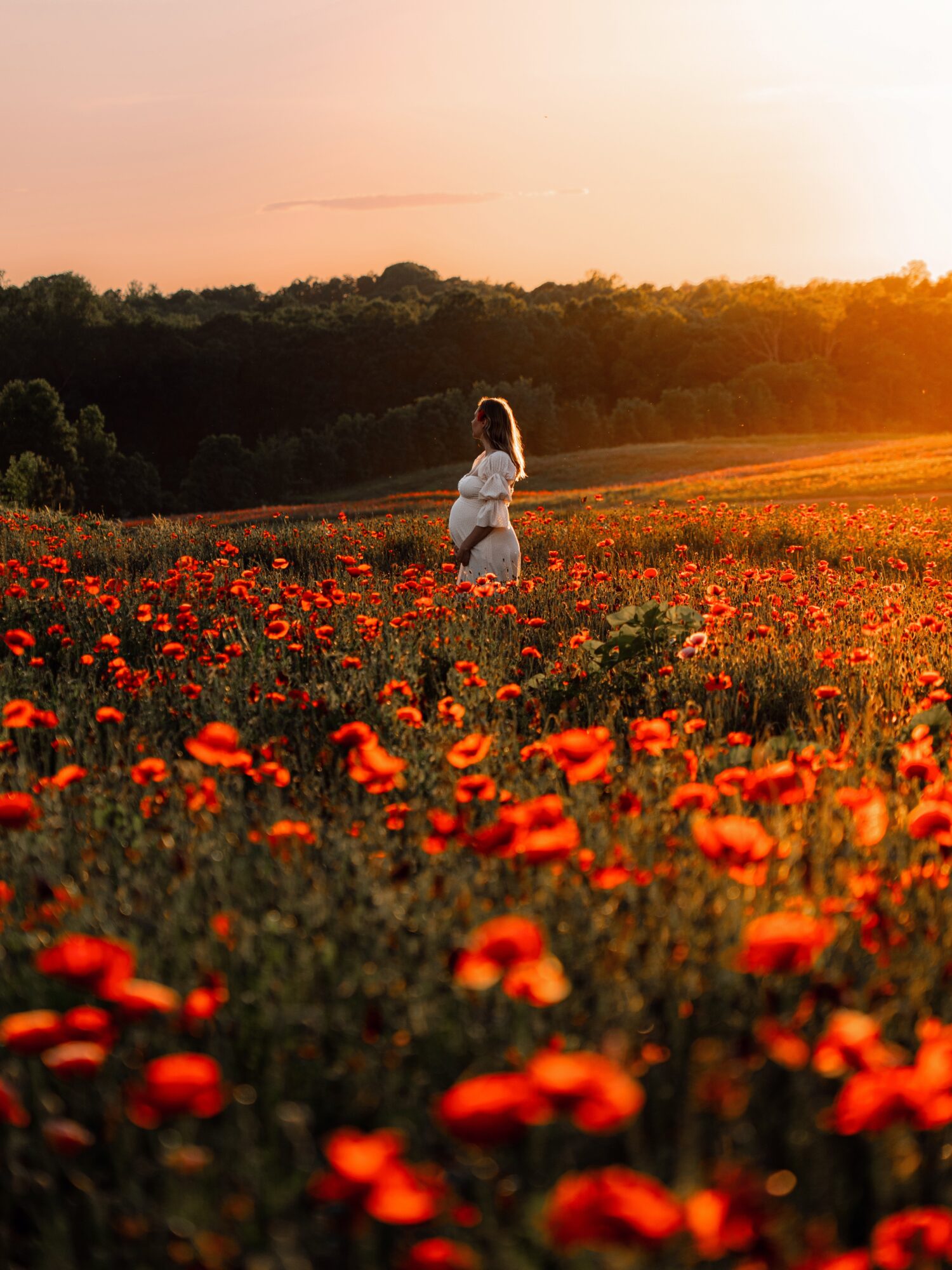 A person stands in a field of red flowers at sunset, with a tree line in the distance.