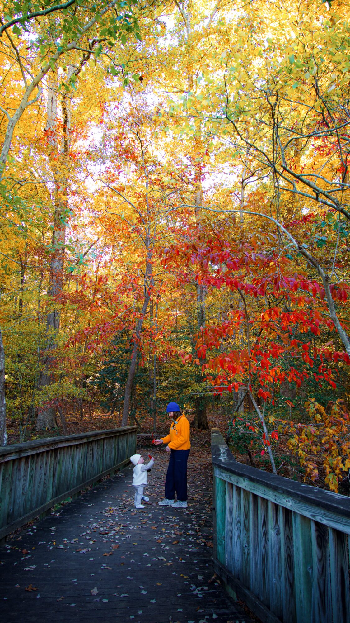 A person and small child stand on a wooden forest walkway beneath colorful autumn foliage.