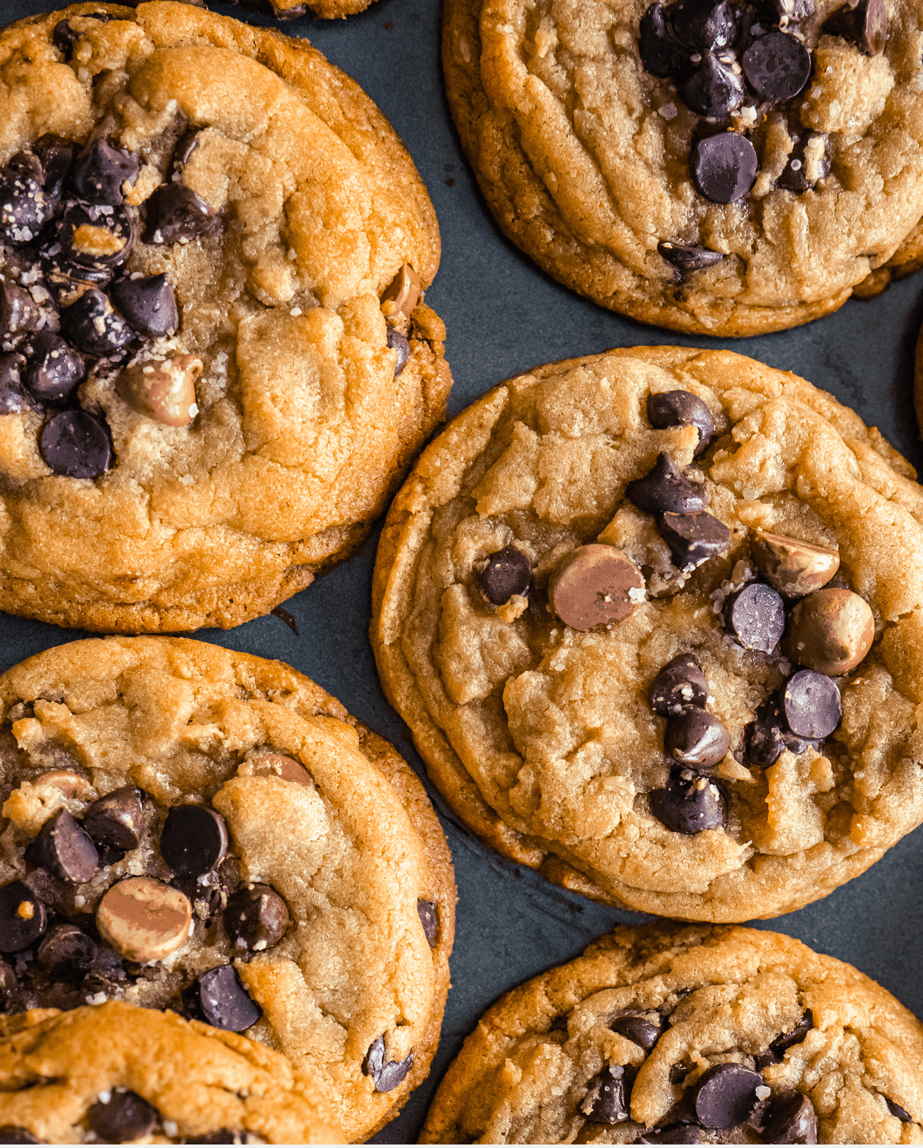 Several chocolate chip cookies arranged on a dark surface.