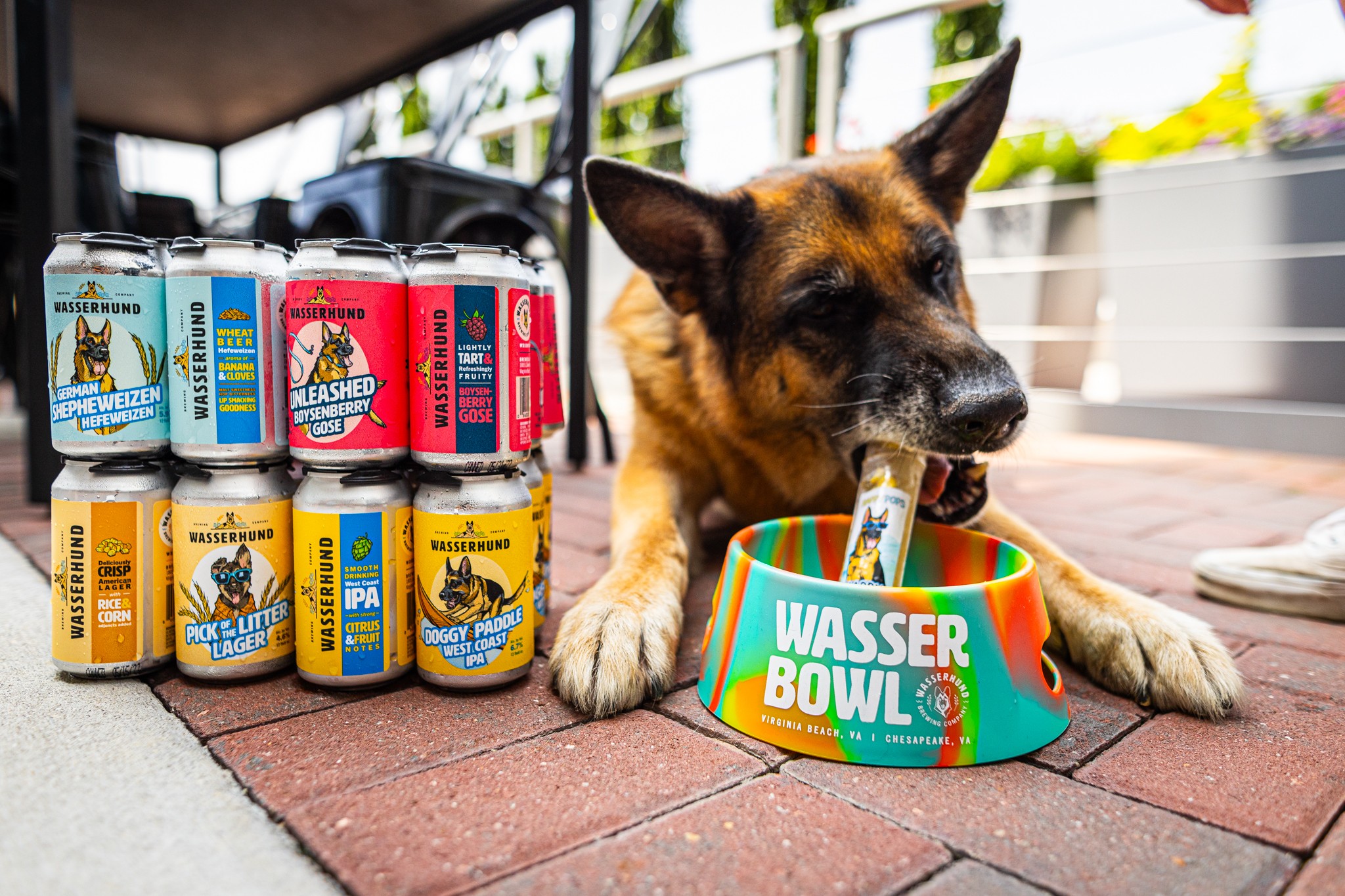 A German shepherd drinks from a green bowl beside two rows of colorful canned drinks.