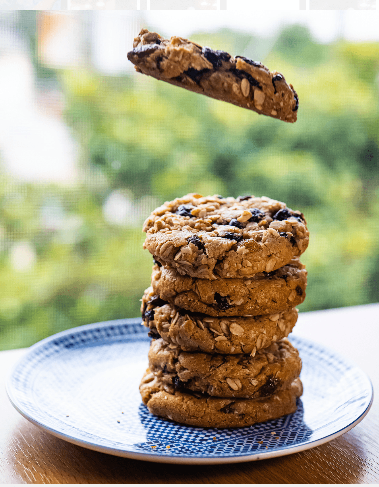 A stack of oat cookies on a blue-rimmed plate, with one cookie suspended above them.